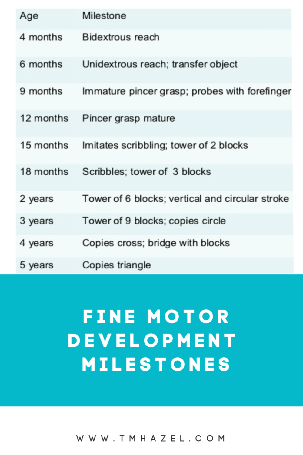 Fine Motor skills development milestones