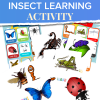 insect learning activity