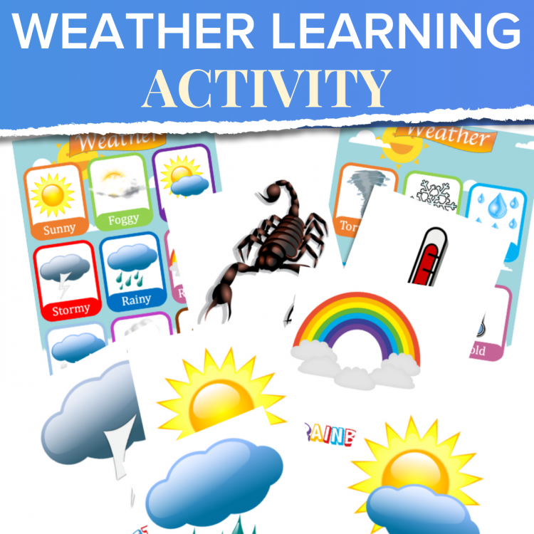 15 Weather Flashcards and 2 WEATHER Posters for Toddlers, Preschool, Homeschooling!