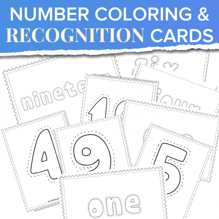 NUMBER FLASHCARDS, COLORING CARDS