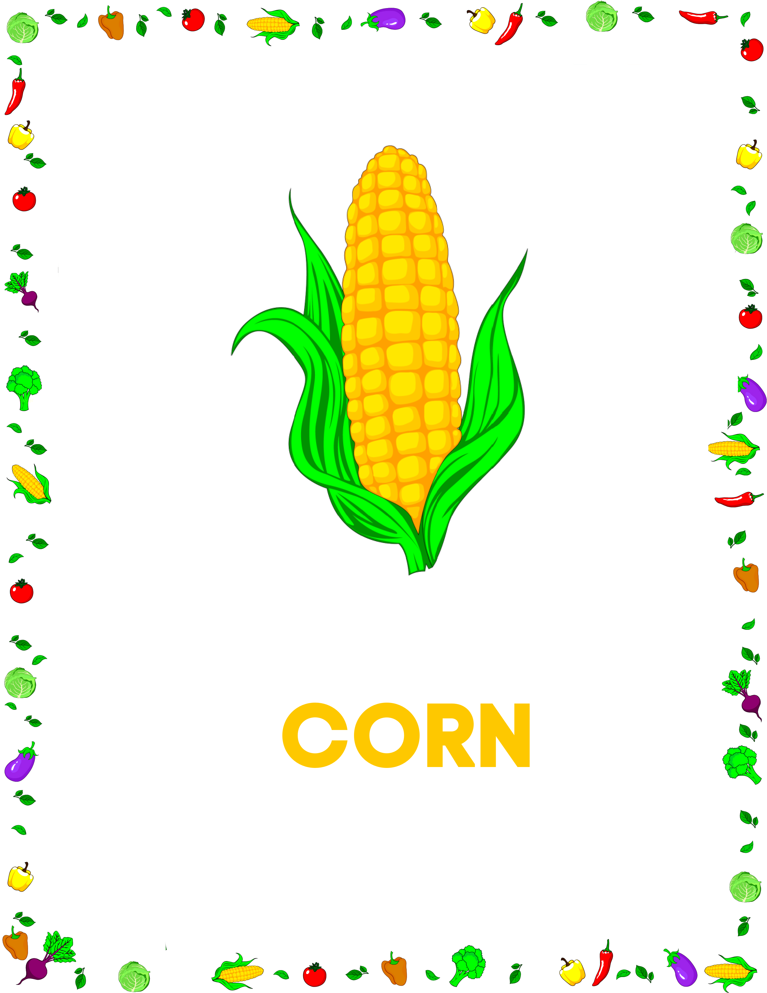 corn flashcards